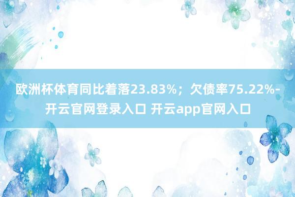 欧洲杯体育同比着落23.83%；欠债率75.22%-开云官网登录入口 开云app官网入口
