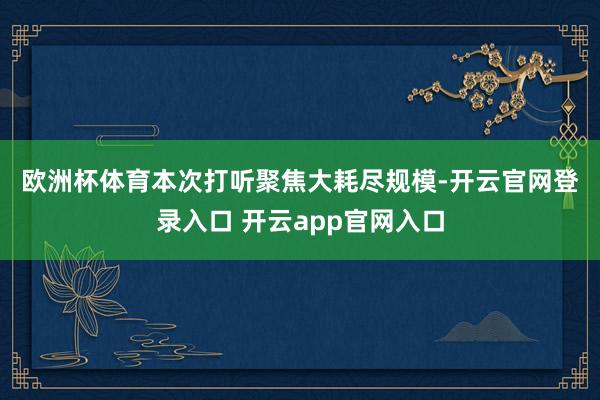 欧洲杯体育　　本次打听聚焦大耗尽规模-开云官网登录入口 开云app官网入口