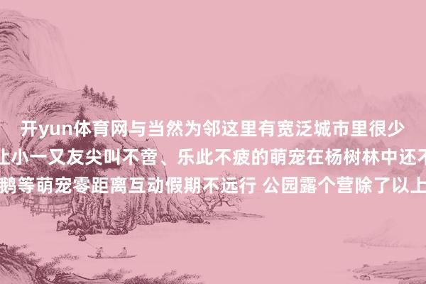开yun体育网与当然为邻这里有宽泛城市里很少战役到的植物和动物有让小一又友尖叫不啻、乐此不疲的萌宠在杨树林中还不错与小羊、兔子、大鹅等萌宠零距离互动假期不远行 公园露个营除了以上的露营地外我们宿迁还有好多公园、绿地、草坪顺应搭帐篷露营如骆马湖水生植物园、古黄河水景公园、雪枫公园沭阳山荡古栗林、沂河淌泗阳成子湖旅游度假区泗洪城北尾水湿地公园......齐是值得打卡的露营好行止把生存搬到天幕之下邀请云