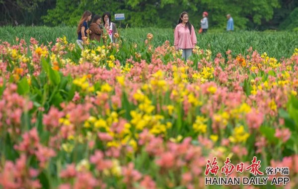 欧洲杯体育市民在海口荣山寮游玩-开云官网登录入口 开云app官网入口