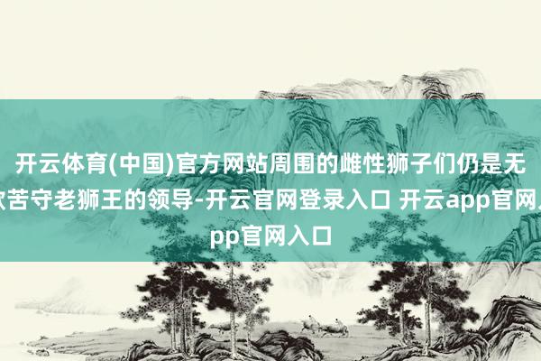 开云体育(中国)官方网站周围的雌性狮子们仍是无条款苦守老狮王的领导-开云官网登录入口 开云app官网入口