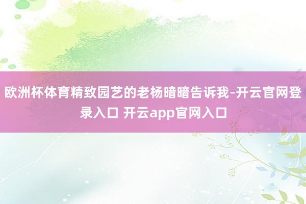 欧洲杯体育精致园艺的老杨暗暗告诉我-开云官网登录入口 开云app官网入口