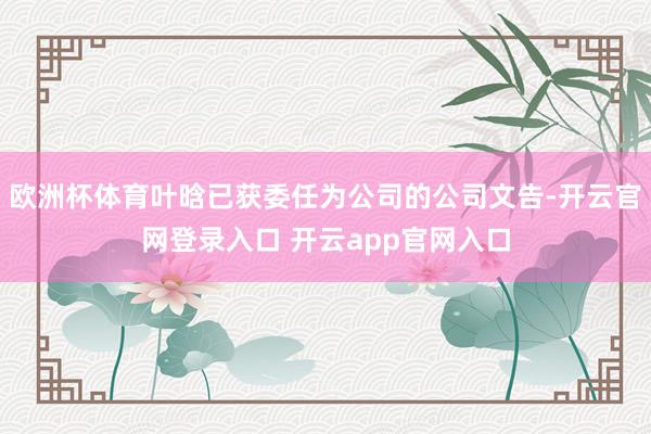 欧洲杯体育叶晗已获委任为公司的公司文告-开云官网登录入口 开云app官网入口