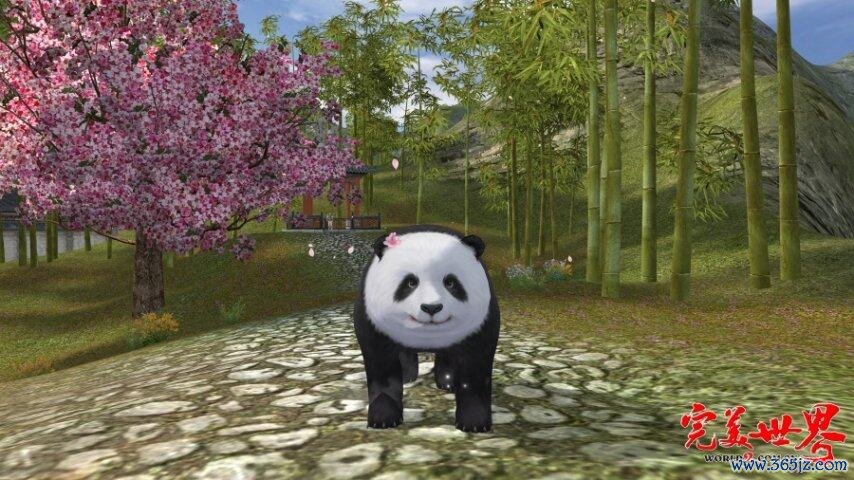 图4.jpg