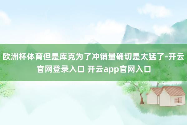 欧洲杯体育但是库克为了冲销量确切是太猛了-开云官网登录入口 开云app官网入口