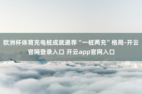 欧洲杯体育充电桩成就遴荐“一桩两充”格局-开云官网登录入口 开云app官网入口